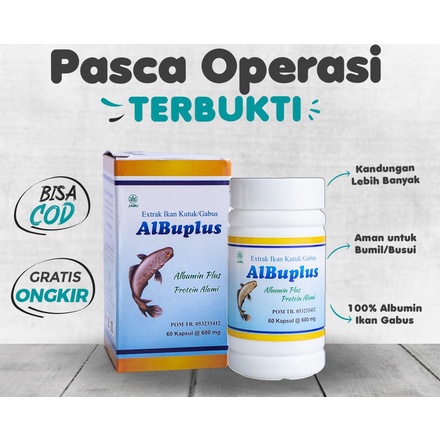 ALBUPLUS - KAPSUL ALBUMIN EKSTRAK IKAN KUTUK GABUS ISI 60 KAPSUL KADAR 600 MG