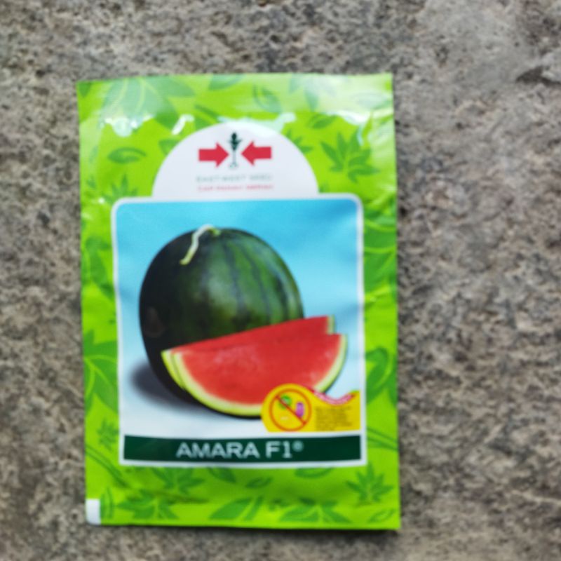 BENIH SEMANGKA TANPA BIJI AMARA F1