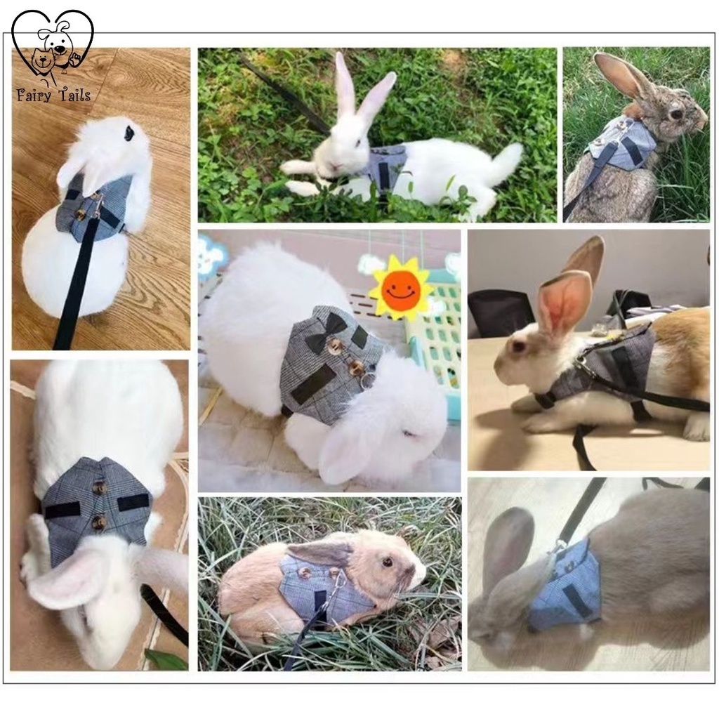 Harness Rompi dan Tali Tuntun Kelinci Adjustable Untuk Outing Aktivitas Outdoor/ Soft Breathable Vest Harness and Adjustable Leash for Rabbits