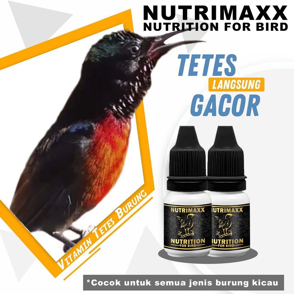 NUTRIMAXX | Vitamin penggacor burung konin sogon kowul