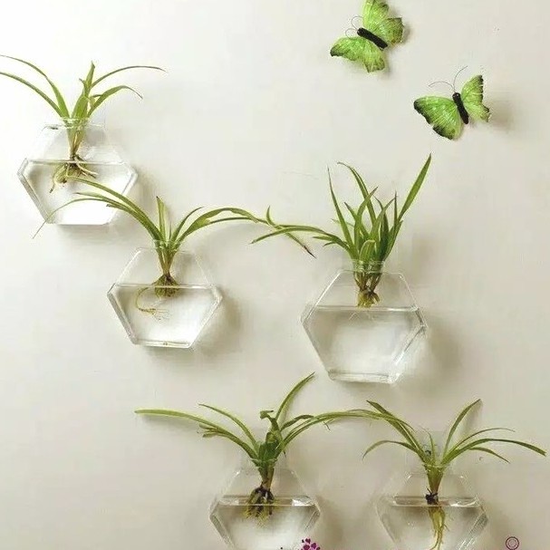 Vas Ready Pot Vas Bunga Terrarium Gantung Bahan Kaca