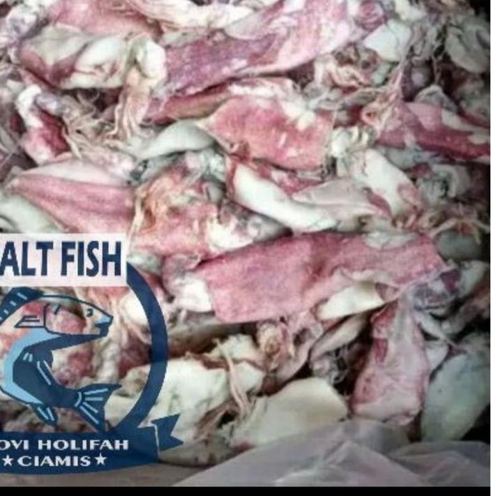 

COD✔️ cumi asin kering fresh 250 gram