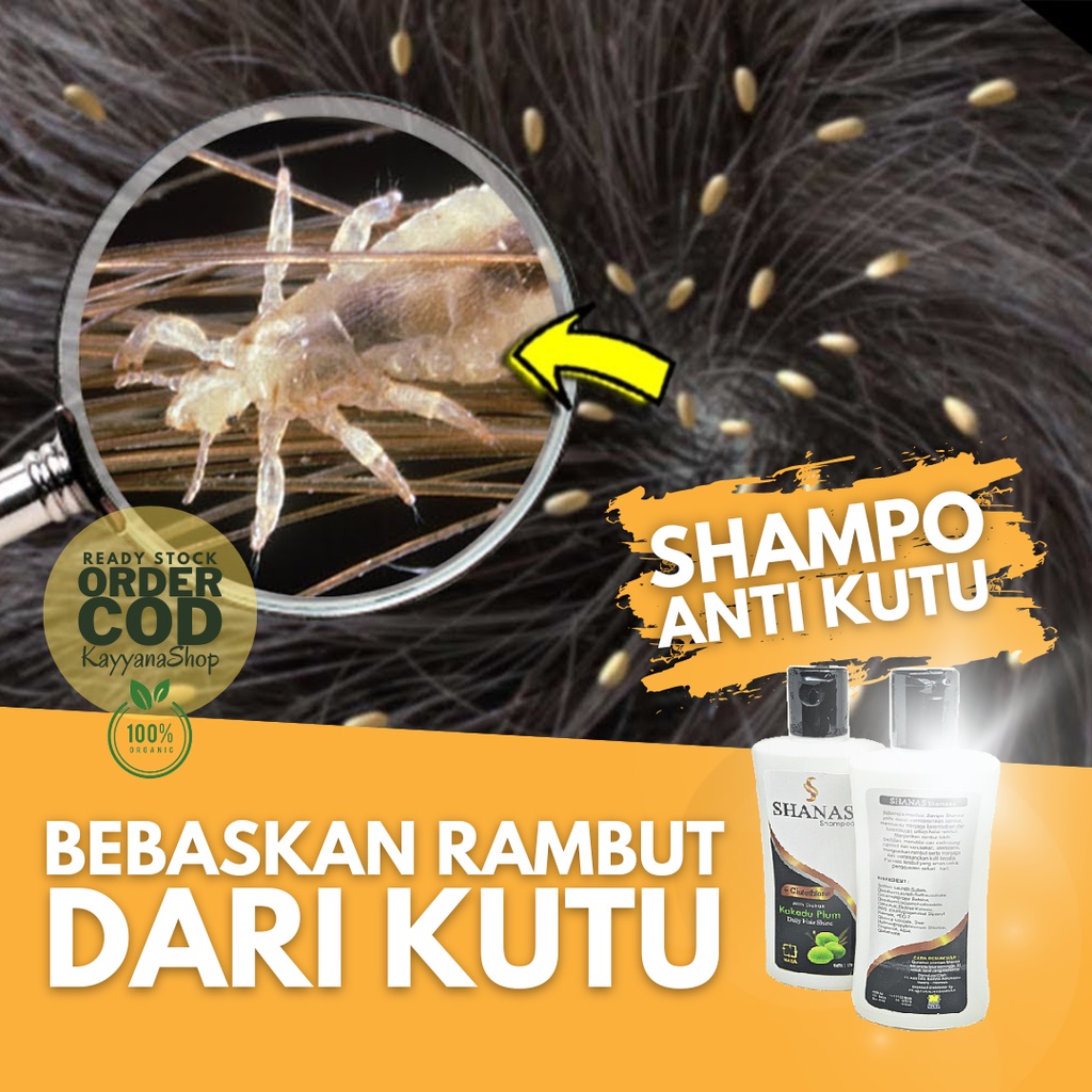 Shampo Anti Kutu Rambut / Shampo Kutu Rambut / Shampo Penghilang Kutu Rambut / Obat Kutu Rambut / Sa