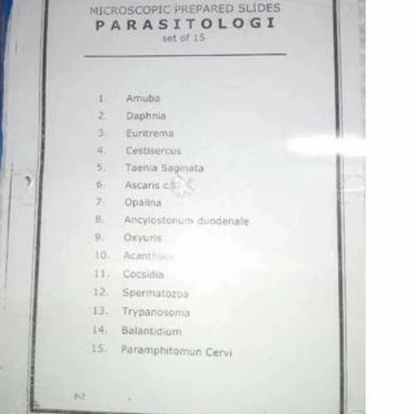 Preparat Sel Parasitologi 15 macam komplit bir04