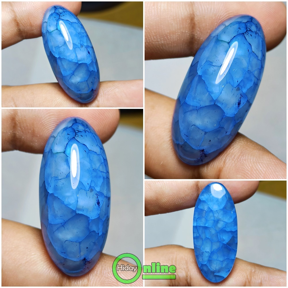 NATURAL PANDAN BIRU SUJI SISIK NAGA