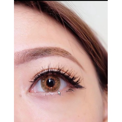 SOFTLENS VAMPIRE TWILIGHT BROWN (NORMAL ONLY)