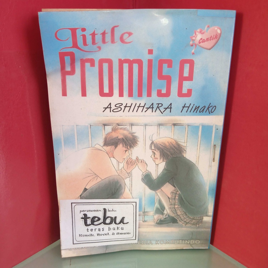 komikLITTLE PROMISE by ashihara hinako