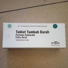 Grosir Per Box Isi 100 Tablet penambah darah / tambah darah ibu hamil / obat kurang darah