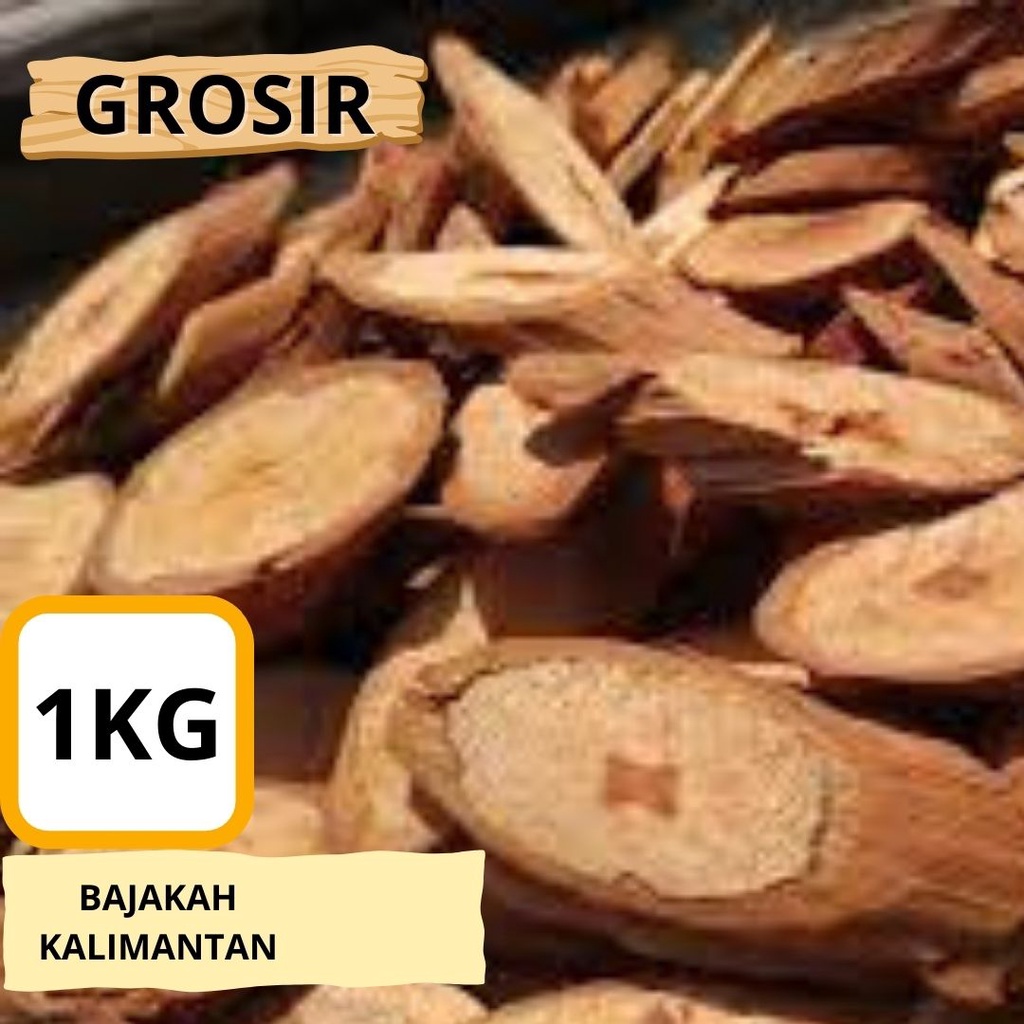 

AKAR KAYU BAJAKAH MERAH KALALAWIT 1KG ASLI KALIMANTAN - HARGA GROSIR