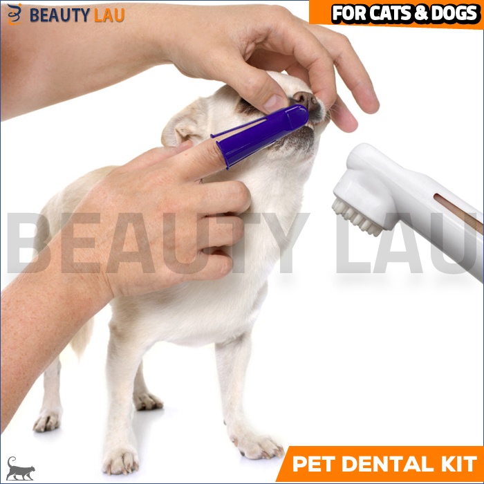 SIKAT &amp; ODOL PASTA GIGI KUCING ANJING 1SET PET DENTAL GEL PET TOOTHBRUSH PERAWATAN GIGI KUCING ANJING HEWAN