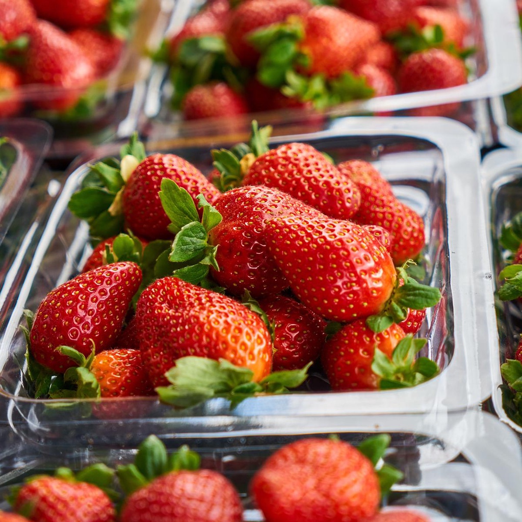 

Buah Strawberry Fresh dari Kebun Premium Grade A Kemasan 250 gr (Khusus Gosend dan Area Jawa Timur)