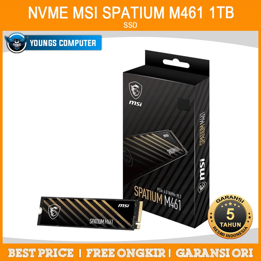 SSD NVME MSI SPATIUM M461 1TB PCIe 4.0 | Gen4x4 M.2 2280 1TB