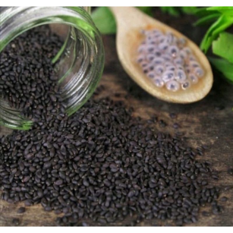 

biji selasih kualitas premium,100 gram terlaris, termurah