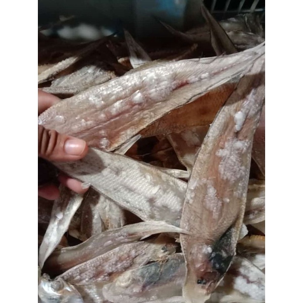 

ikan asin kikik/pirik,ikan asin belah merah