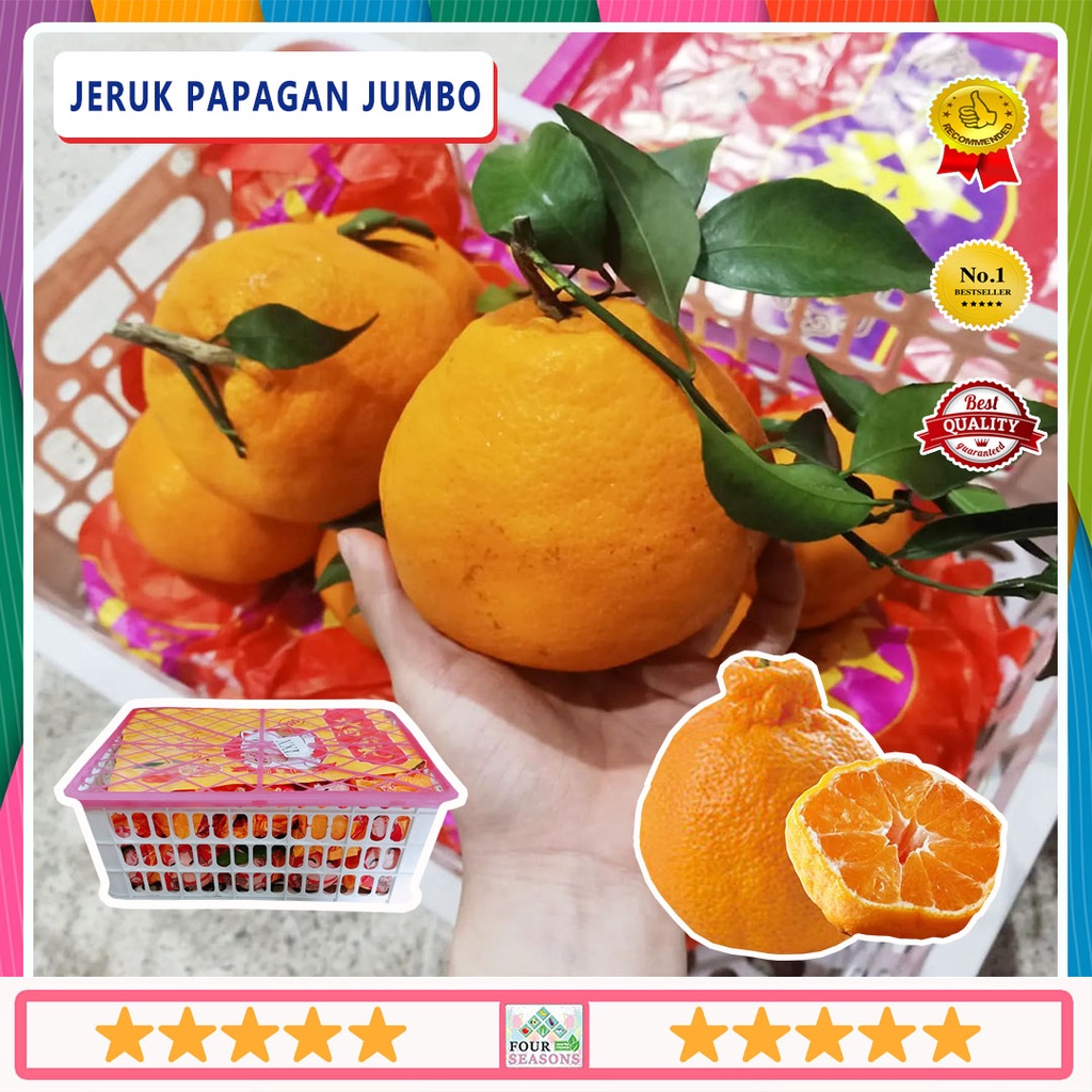 

MANIS JUMBO JERUK PAPAGAN / DEKOPON 1 KERANJANG BERKUALITAS BAGUS
