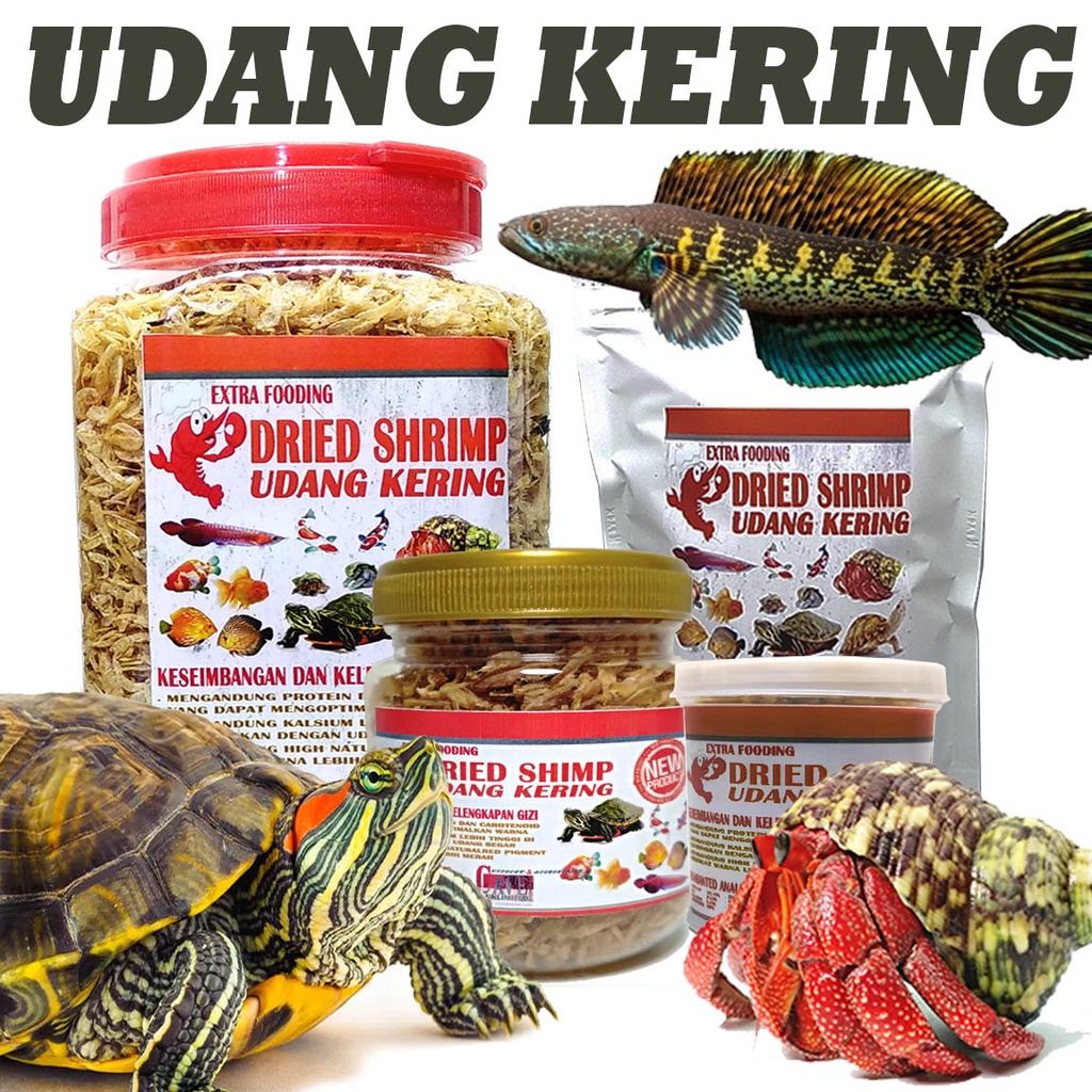 Udang kering makanan pakan reptile kura kura air brazil dada merah katak ikan turtle food