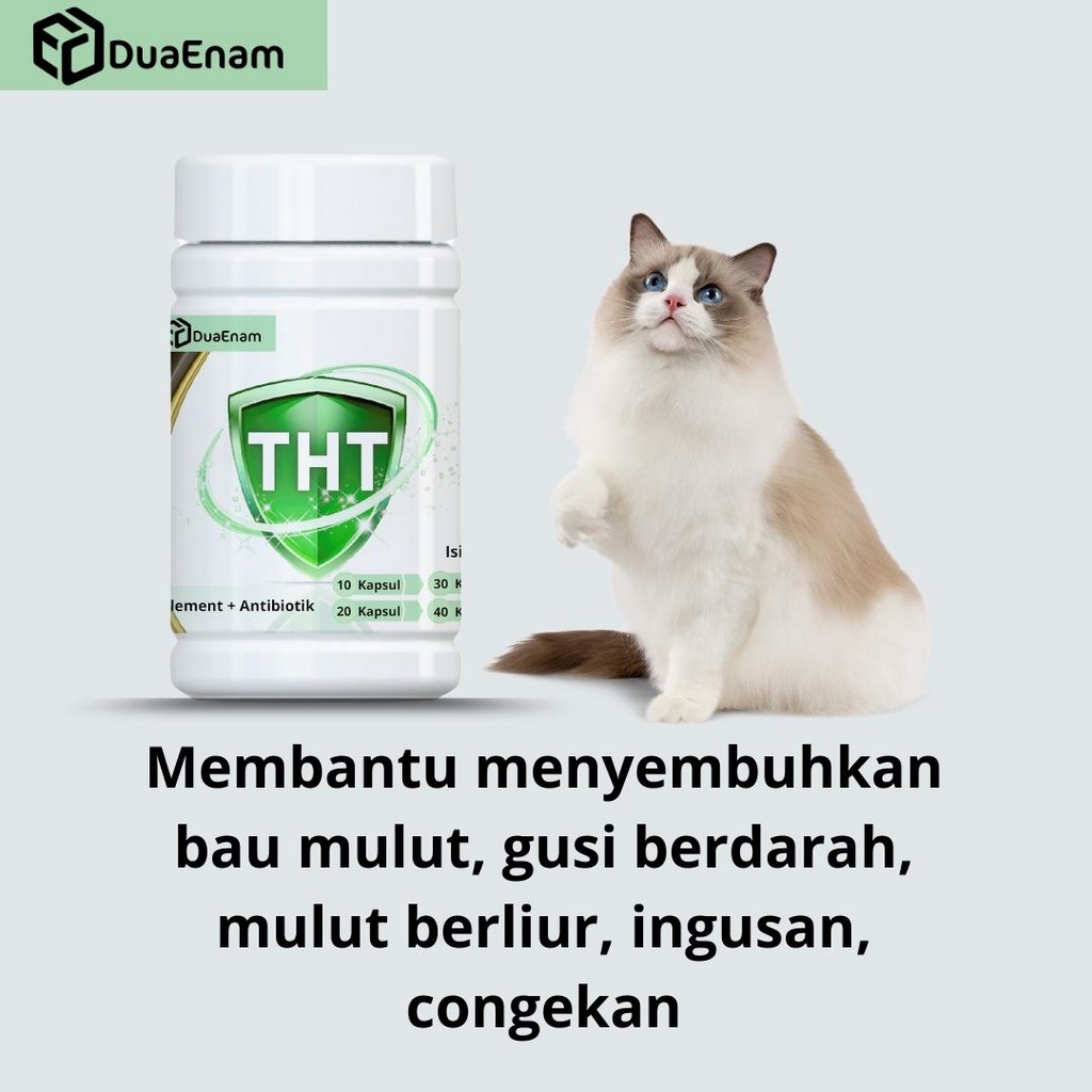DUAENAM SUPLEMENT THT Bau mulut tak sedap, Gusi berdarah untuk kucing