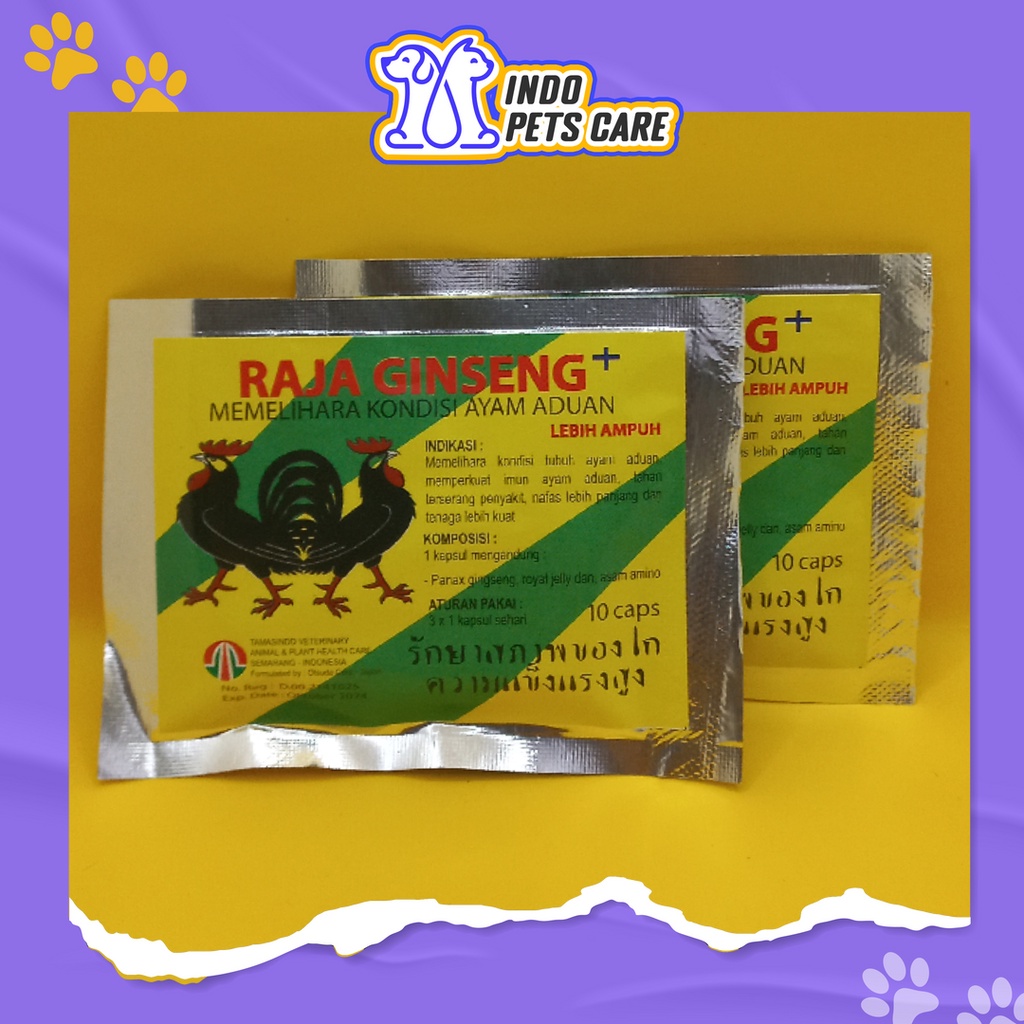 OBAT PEMELIHARA KONDISI AYAM - RAJA GINSENG KAPSUL MEMPERKUAT IMUN AYAM ADUAN TAHAN TERSERANG PENYAK