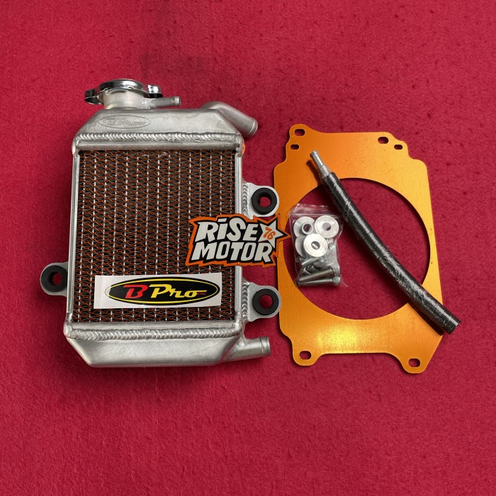 RADIATOR BPRO VARIO 125 150 PCX 150
