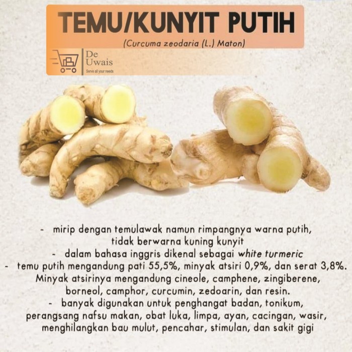 

Kunir Kunyit Putih Bubuk Rempah Jamu Herbal Tradisional Obat Cacingan