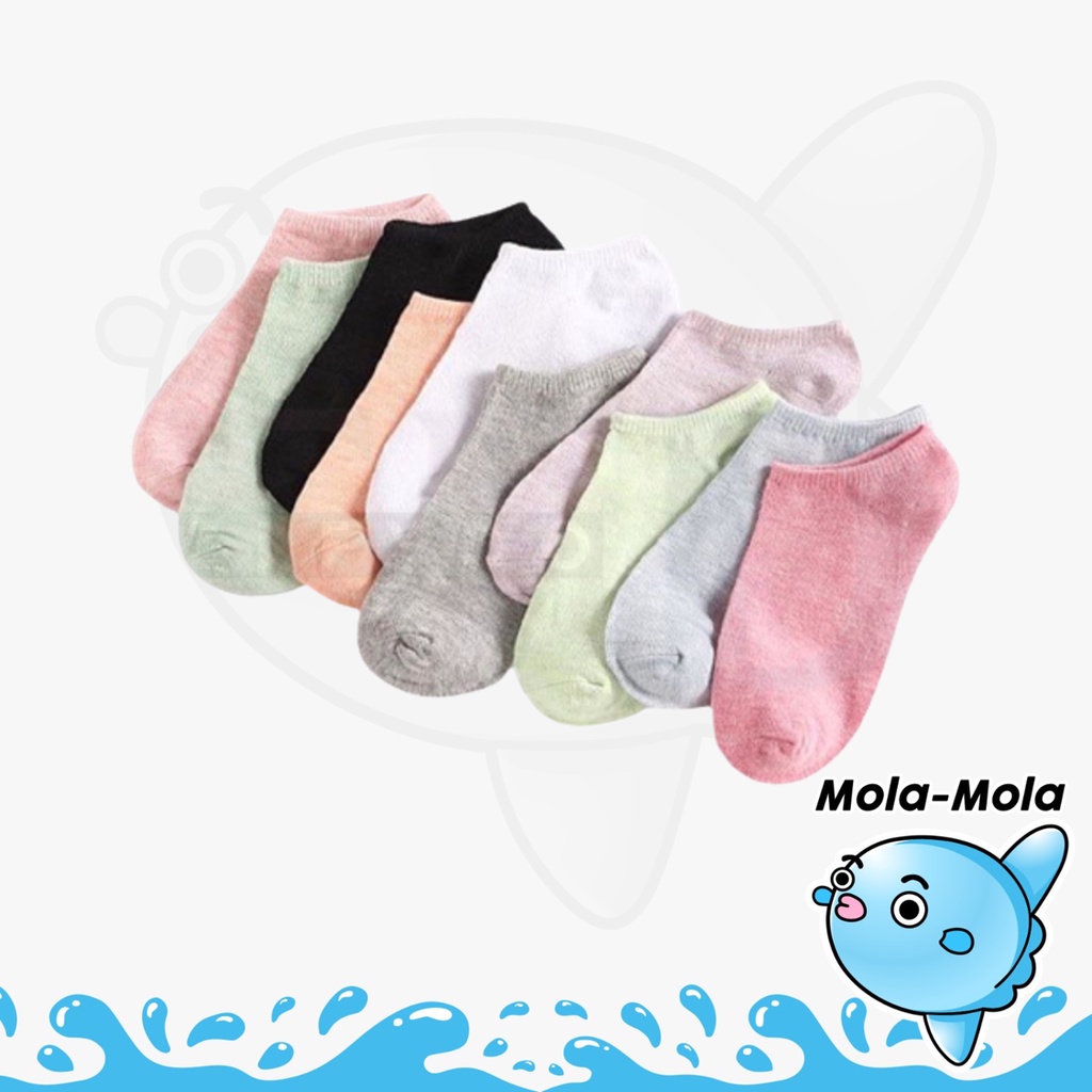 MOLAMOLA D060 Kaos Kaki Polos Wanita Spandek Korea Short Socks Kaus Kaki Ankle Nyaman