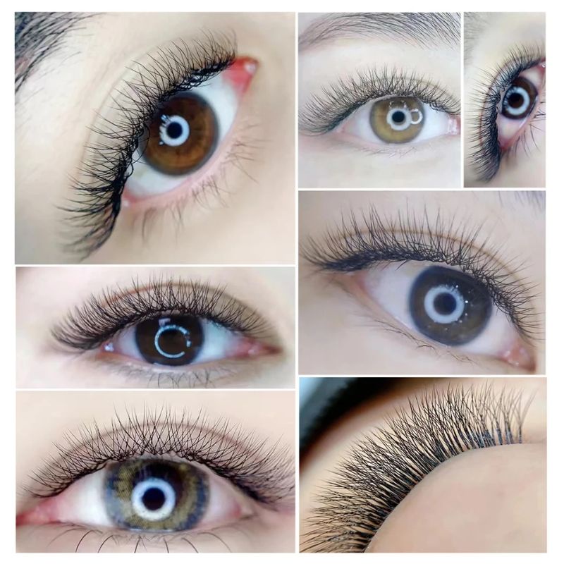 Yelix 3D W Shape Clover Lashes Volume Russian Eyelash Extension Ellipse Super Soft Fanning Bulu Mata Lembut Premium Cabang 3