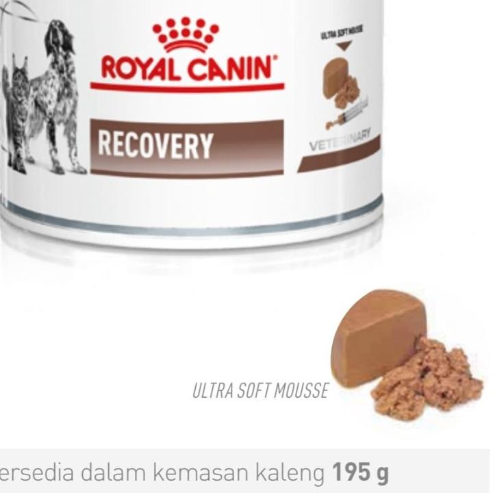 

♤ Royal Canin Recovery Kaleng 195gr ➦