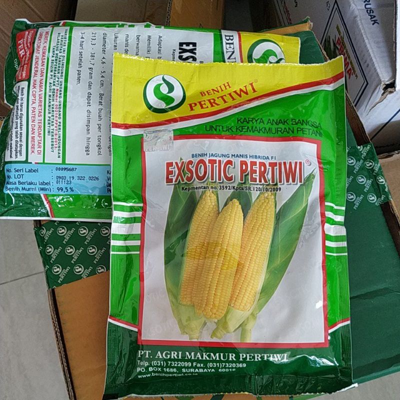 bibit jagung manis EXOTIC  jagung manis exotic pertiwi. isi±1750 biji