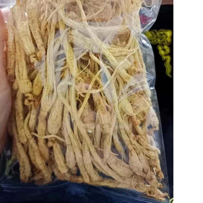 

☞ Anak Ginseng kering 小干参 100 gram lebih hemat ♣