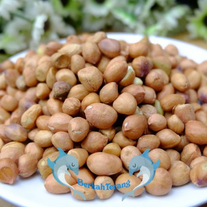

✨NEW✨ -kacang Tanah Tuban Super 1kg - KULIT- 1.1.23