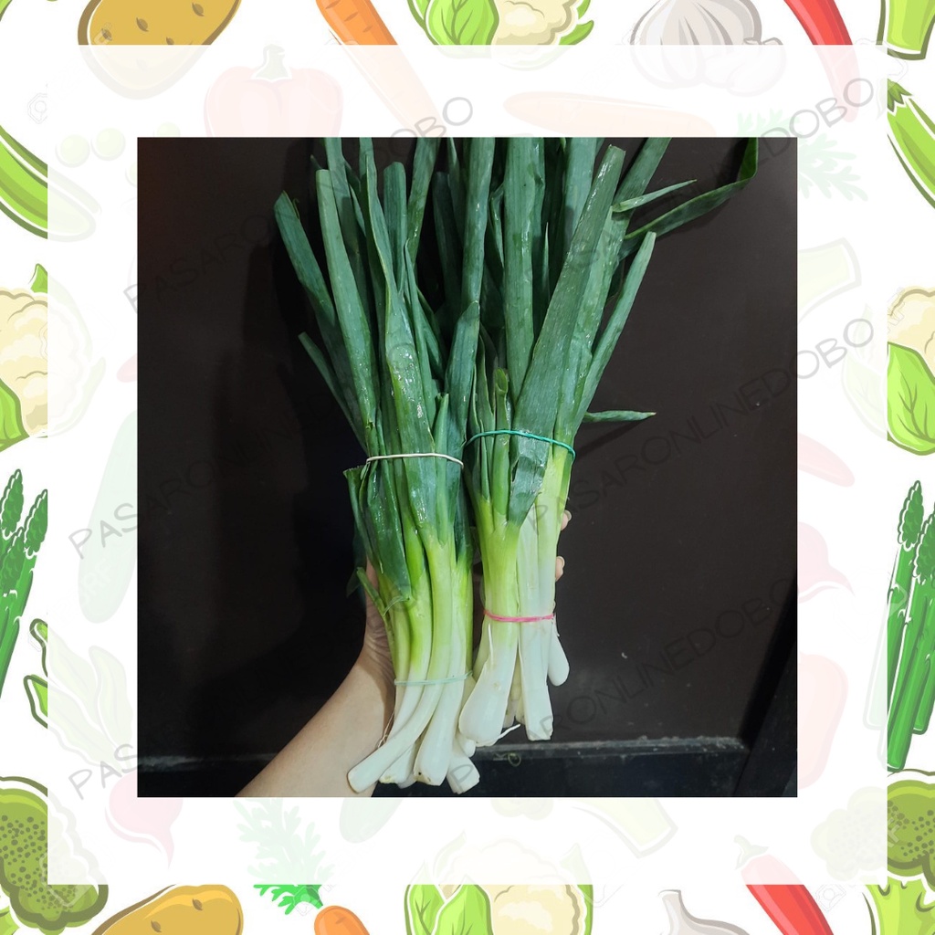 

Daun Bawang Besar / Daun Prey