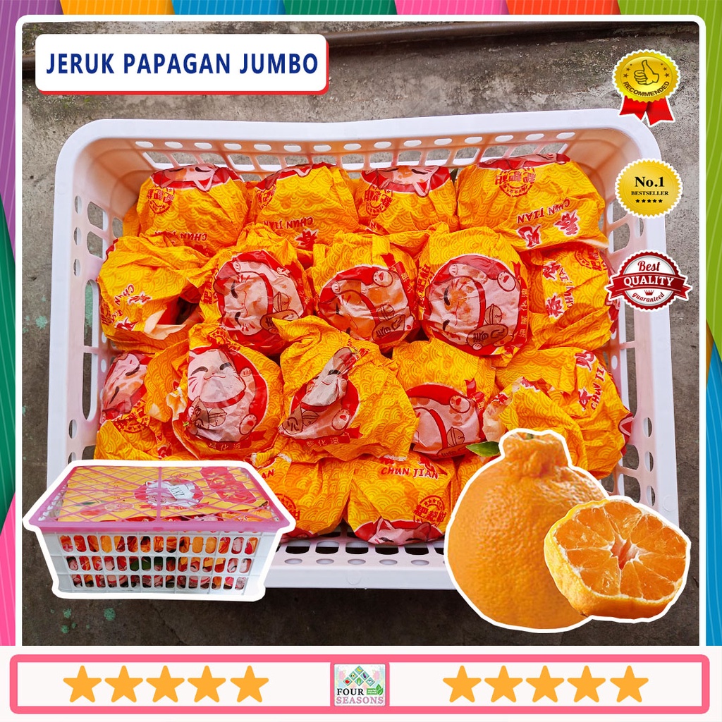 

RAJANYA JERUK PAPAGAN / DEKOPON 1 KERANJANG BERKUALITAS BAGUS IMLEK SPESIAL