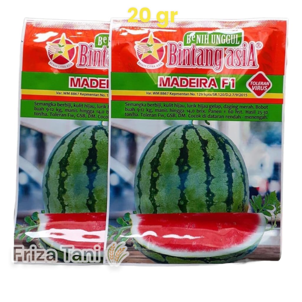 Madeira Benih Semangka Merah Lorek Berbiji | Madeira F1 20 Gram