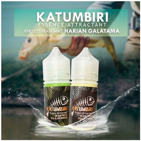 Katumbiri Essen Ikan Mas Mancing Galatama Lomba Harian