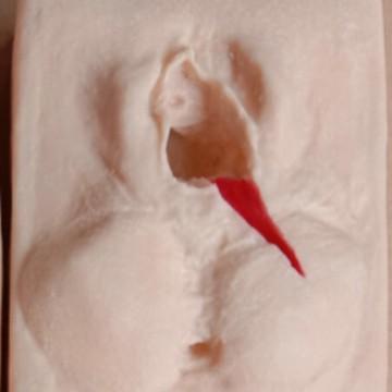 Terlaris Manekin Episiotomi | Vulva Suturing Training Simulator Manikin