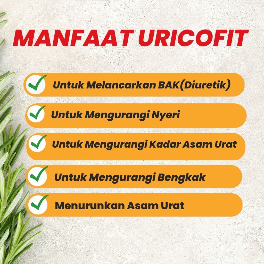 Obat Asam Urat dan Kolesterol Nyeri Sendi Herbal Jamu Pegel Linu Sakit Badan Radang Otot Lutut Uricofit Naturindo