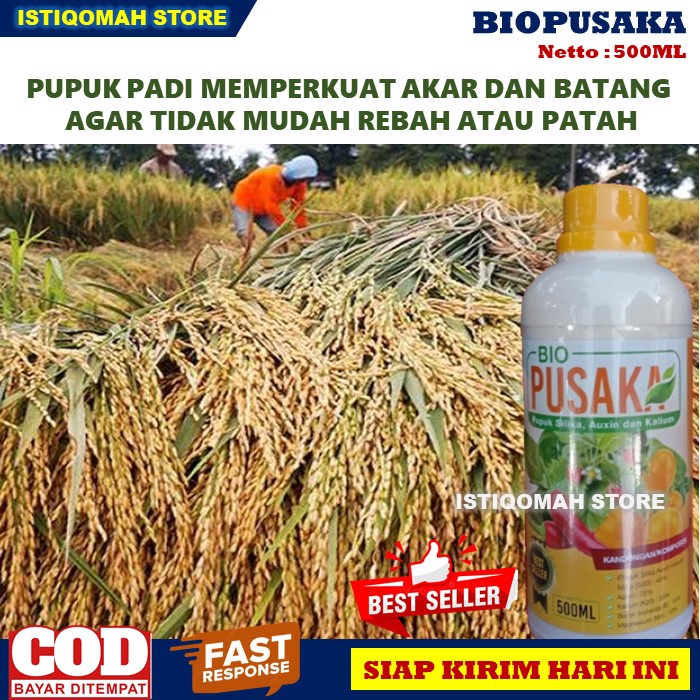 PUPUK PADI ASEM ASEMAN BIO PUSAKA 500ML Obat Semprot Asem Aseman Pada Tanaman Padi Terbaik dan Ampuh Mengurangi Keasaman Pada Permukaan Tanaman Padi Sehingga Efektif Menghambat Perkembangbiakan Jamur yang Bagus Bisa COD Bayar di Rumah