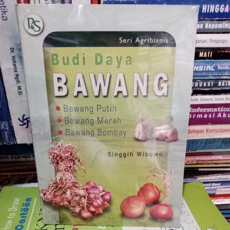 BUDI DAYA BAWANG.BAWANG PUTIH,BAWANG MERAH,BAWANG BOMBAY