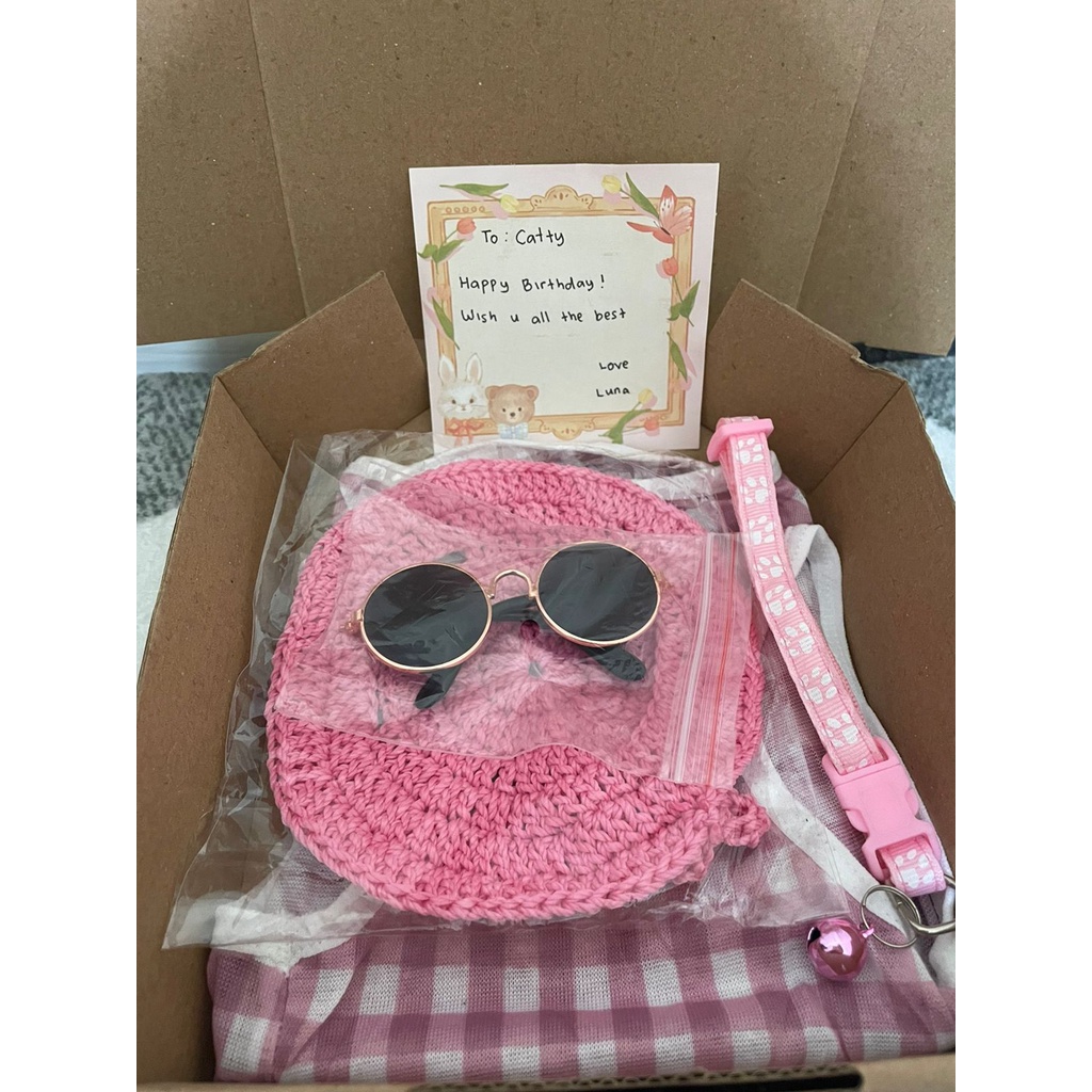 Paket Outfit Kucing | Gift Box Kucing | Baju Kucing Kacamata Topi Kucing