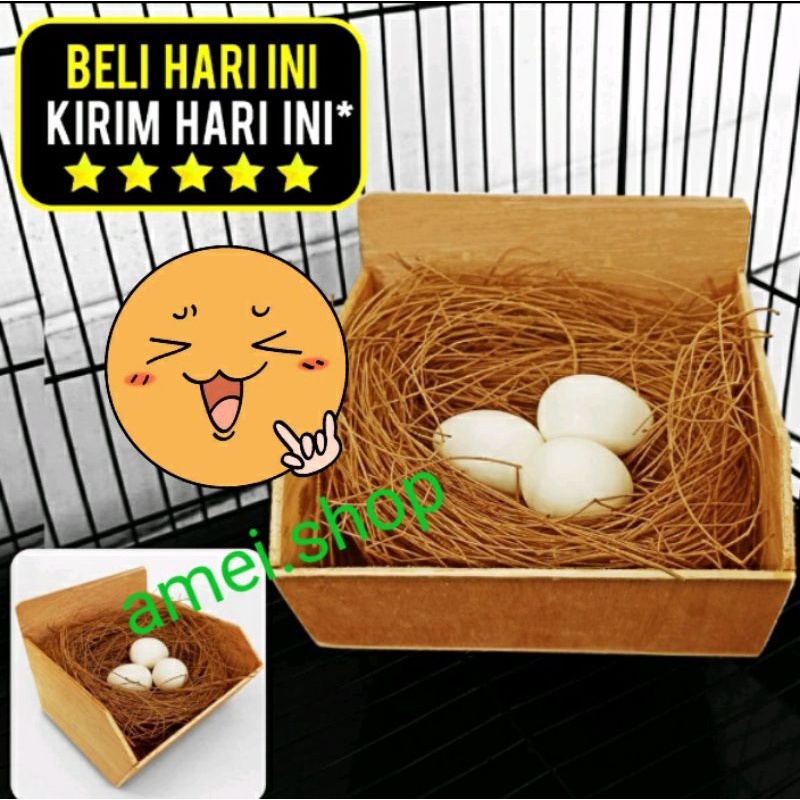 KOTAK KAYU KUBIK TEMPAT SARANG SUSUH BERTELUR BURUNG KENARI