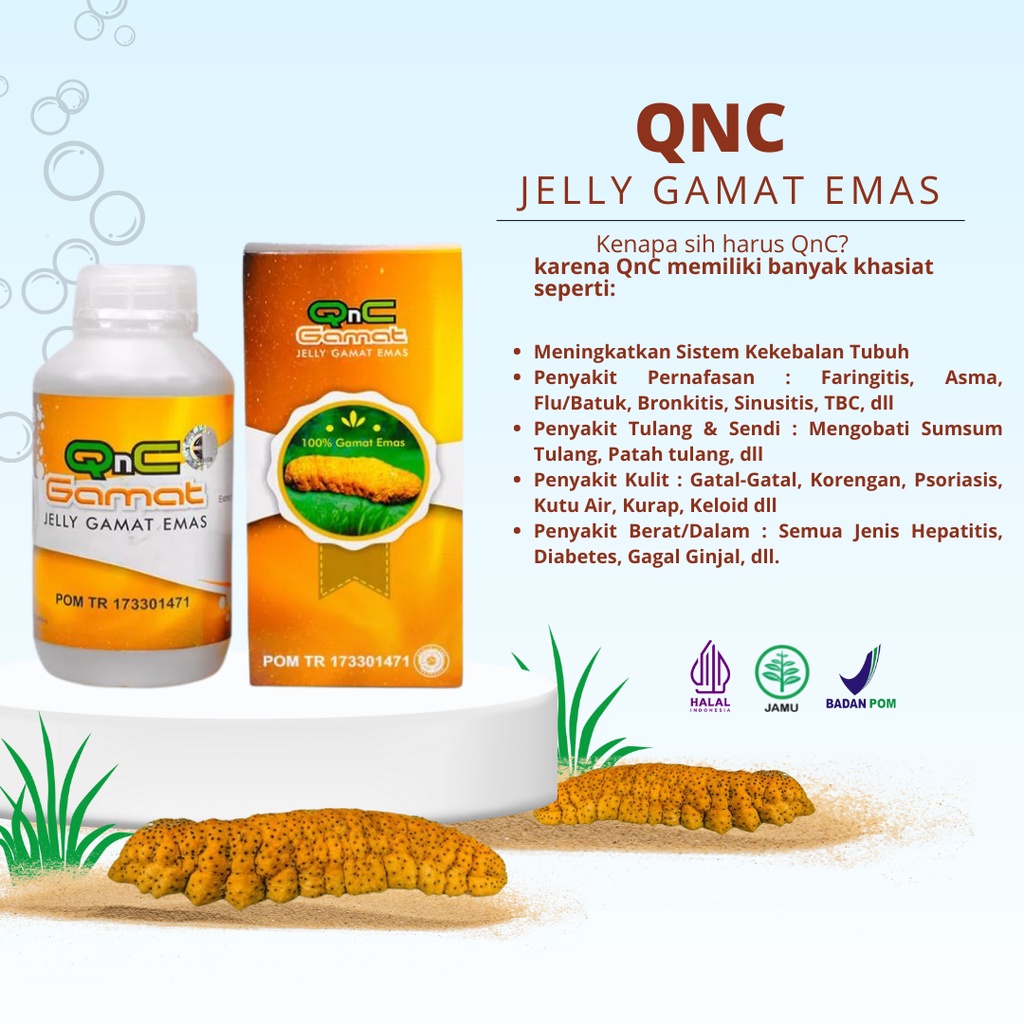 Obat Luka Diabetes Luka Pasca Operasi Pengering Luka Diabetes QnC Jelly Gamat Ekstrak Teripang Asli