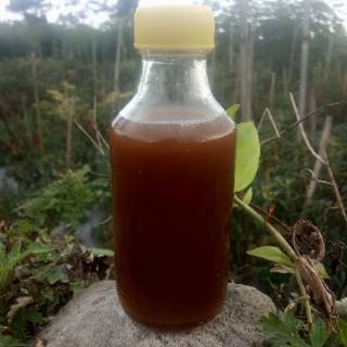 

Madu Asli klanceng Murni Botol uc asli 1000 Halal Pirt Bergaransi terlaris termurah grosir bee honey bee