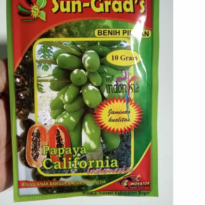 ✤ Benih Pepaya California SUN GRADS Isi Sekitar 500 Biji Benih Pepaya Bibit Pepaya Bibit Pepaya Cali
