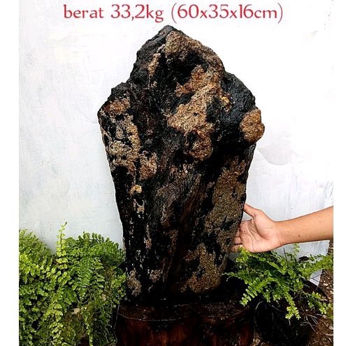 batu hias fosil kayu galih kelor(230)