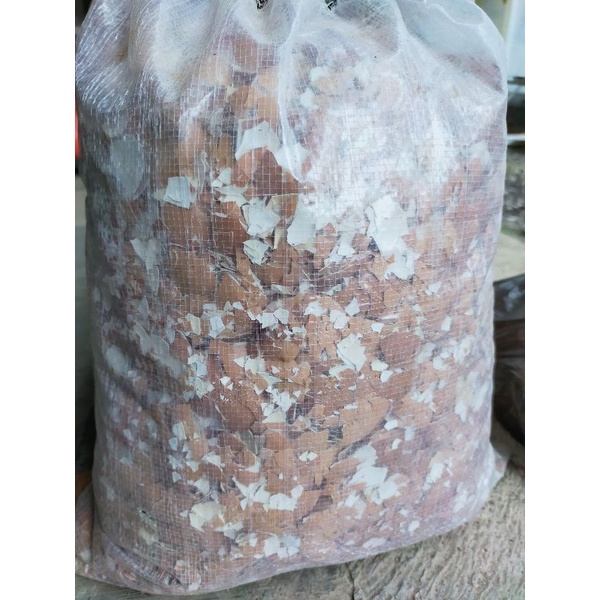 

Kulit telur 1kg