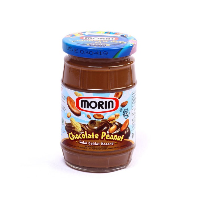 

MORIN CHOCO PEANUT 300 G