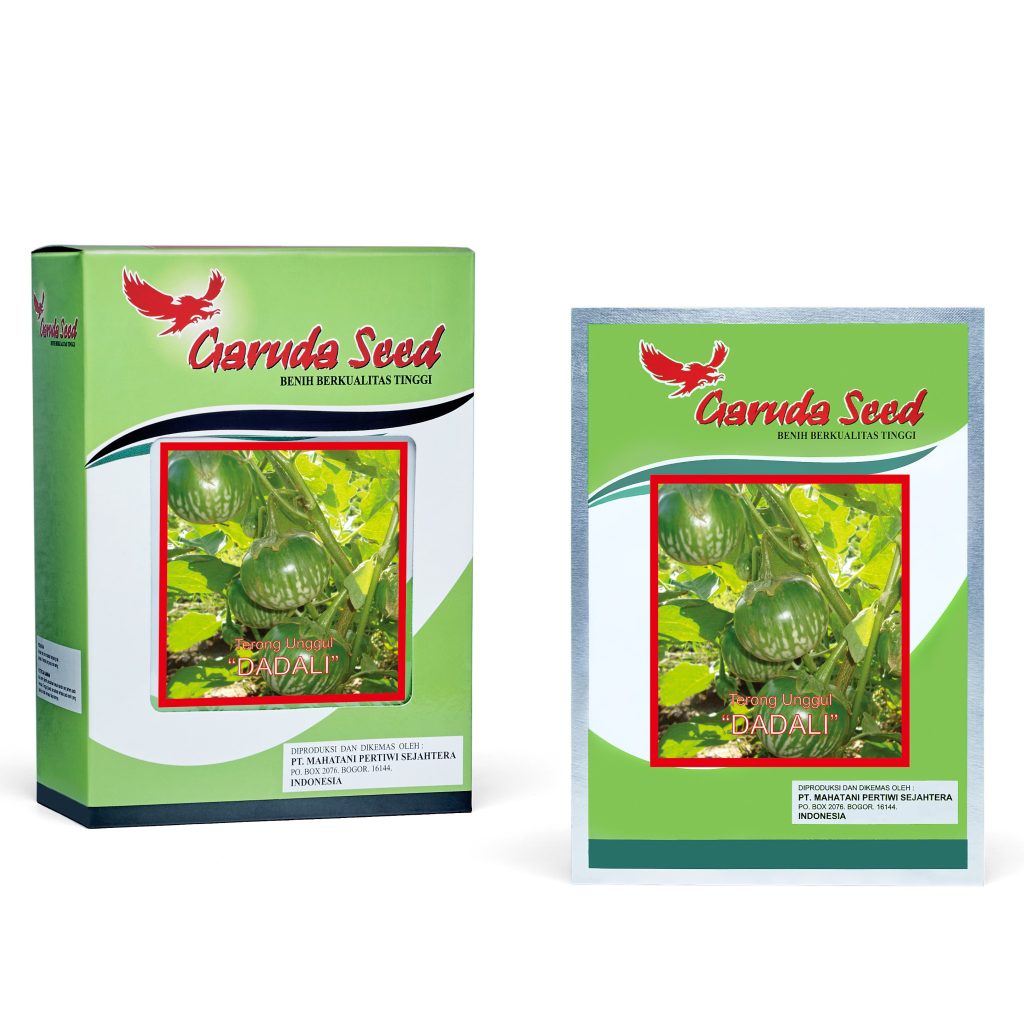 (1 PACK) Benih Terong Bulat Hijau Lalap DADALI Seeds - Garuda Seed - 5 GRAM