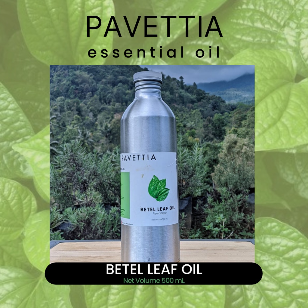 500 ml - Minyak atsiri daun sirih / betel leaf essential oil