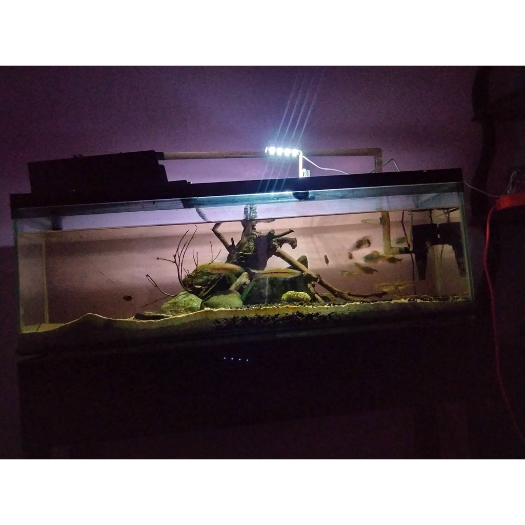 LAMPU AQUARIUM LED USB 5V/LAMPU SOLITER/LAMPU CUPANG/LAMPU AQUASCAPE/LAMPU AQUARIUM MINI/LAMPU AQUAR