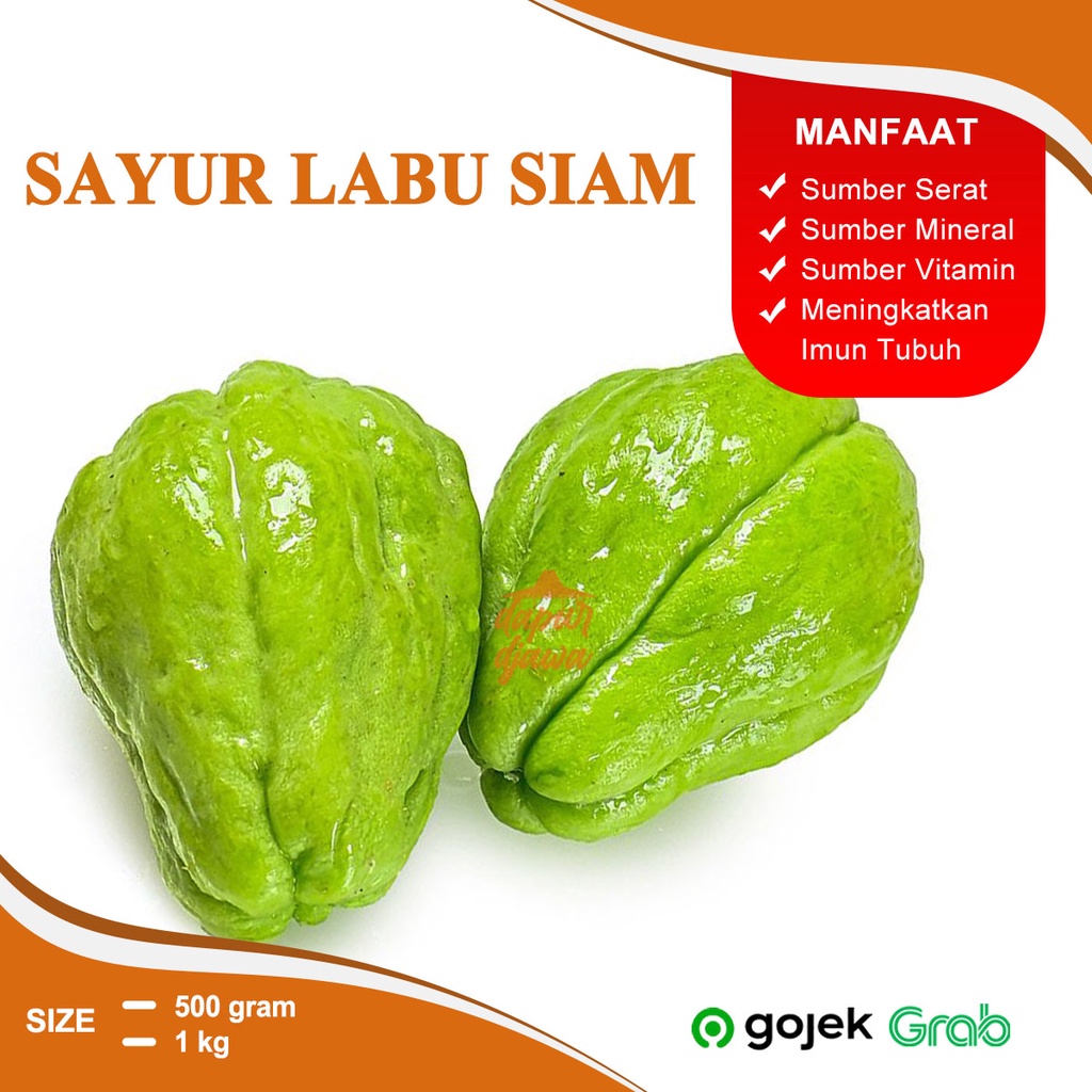 

SAYUR SAYURAN LABU SIAM MAKANAN SEGAR FRESH SEHAT BEKU KERING KEMASAN BOX